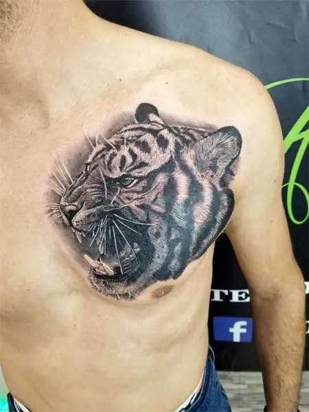 pascal-squale-tattoo-covers-6